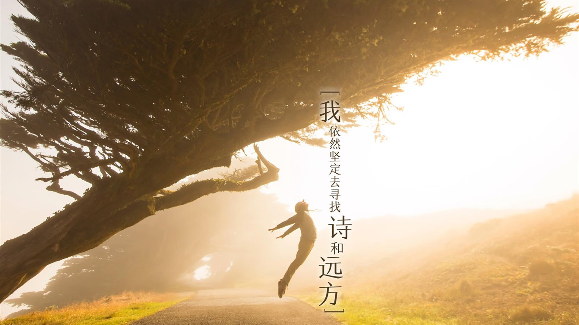 守望先锋 战队新阵容成形，守望先锋最强战队2020